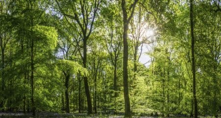 Pentylands Park, Highworth